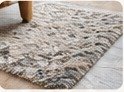 Pet hair cleanup on rugs